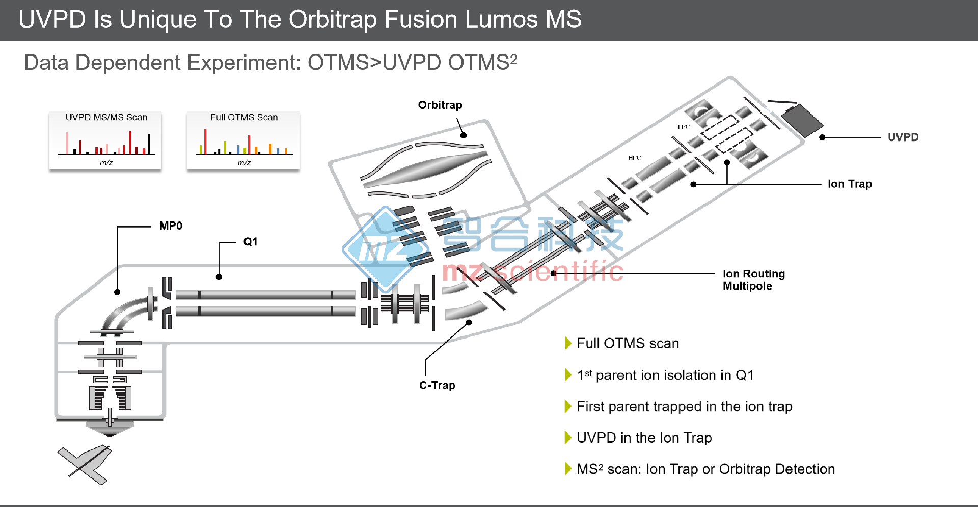 1700272249209109.png